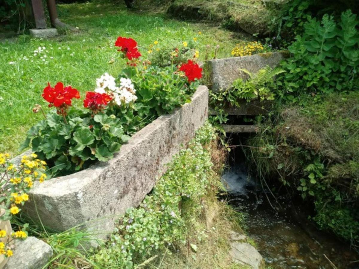 Chaloupka Na Konci Sveta Villa Raskov Exterior foto